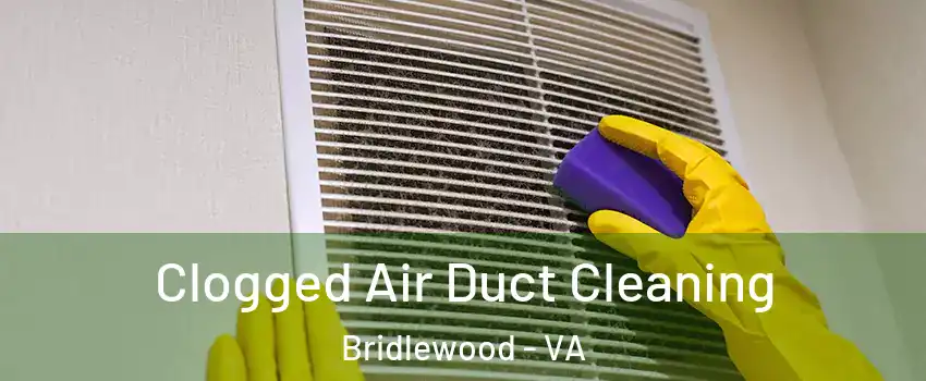 Clogged Air Duct Cleaning Bridlewood - VA
