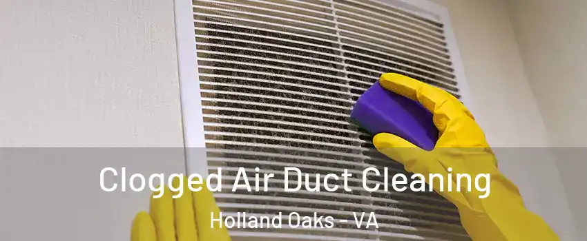 Clogged Air Duct Cleaning Holland Oaks - VA