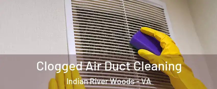 Clogged Air Duct Cleaning Indian River Woods - VA