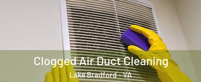 Clogged Air Duct Cleaning Lake Bradford - VA