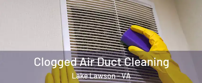 Clogged Air Duct Cleaning Lake Lawson - VA