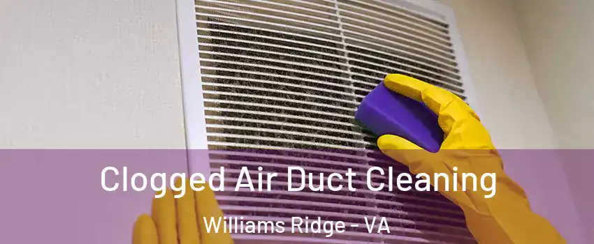 Clogged Air Duct Cleaning Williams Ridge - VA