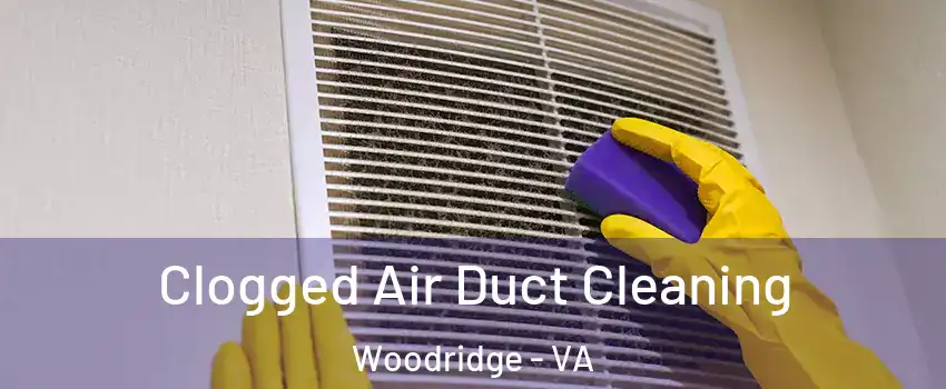 Clogged Air Duct Cleaning Woodridge - VA