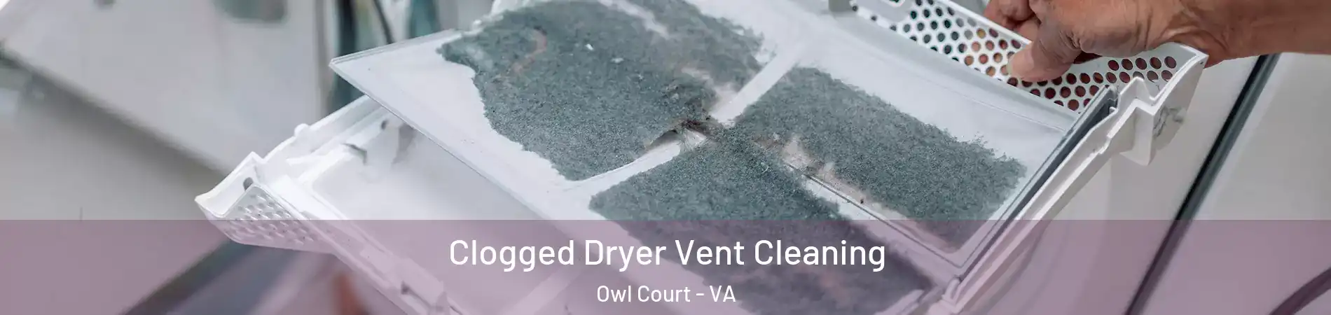 Clogged Dryer Vent Cleaning Owl Court - VA