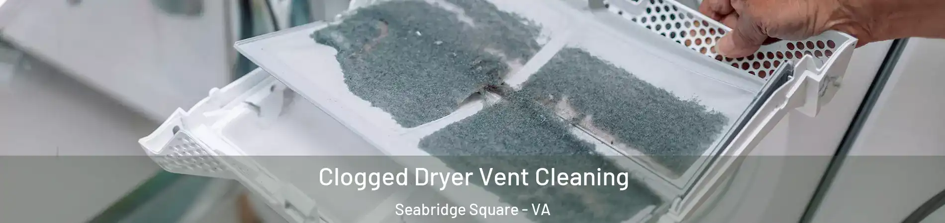 Clogged Dryer Vent Cleaning Seabridge Square - VA