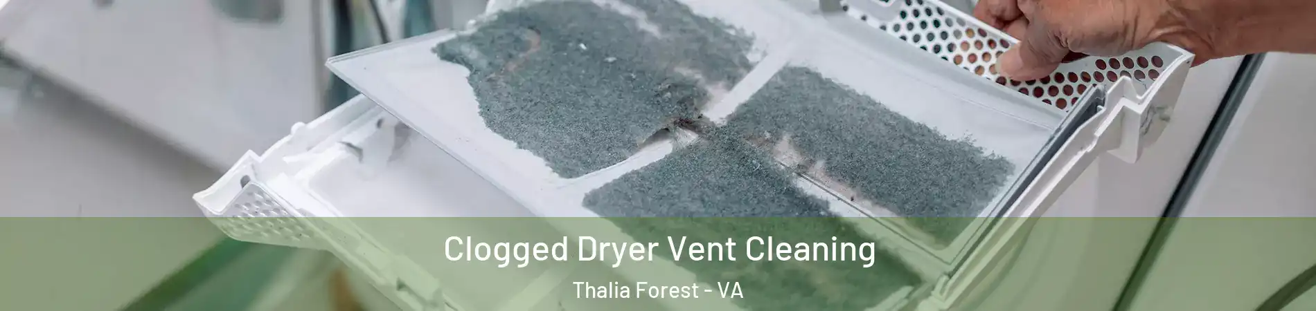 Clogged Dryer Vent Cleaning Thalia Forest - VA