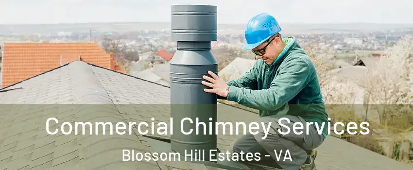 Commercial Chimney Services Blossom Hill Estates - VA