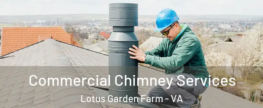 Commercial Chimney Services Lotus Garden Farm - VA