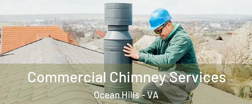 Commercial Chimney Services Ocean Hills - VA