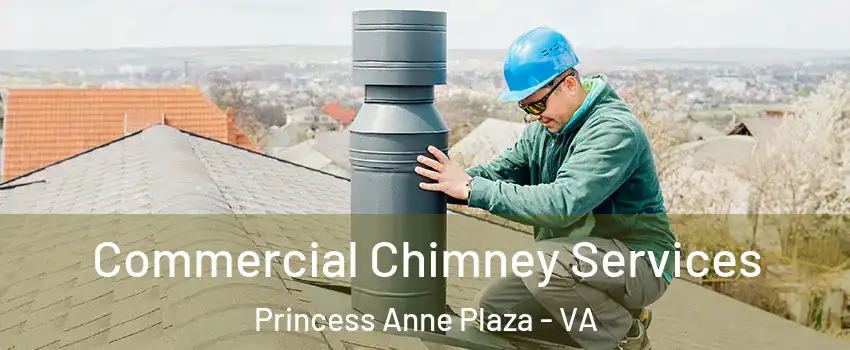 Commercial Chimney Services Princess Anne Plaza - VA