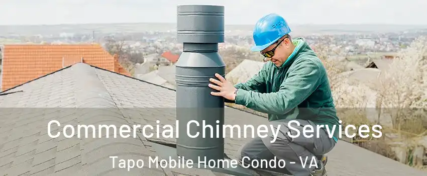 Commercial Chimney Services Tapo Mobile Home Condo - VA