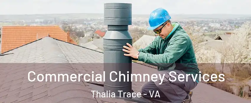 Commercial Chimney Services Thalia Trace - VA