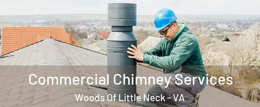Commercial Chimney Services Woods Of Little Neck - VA