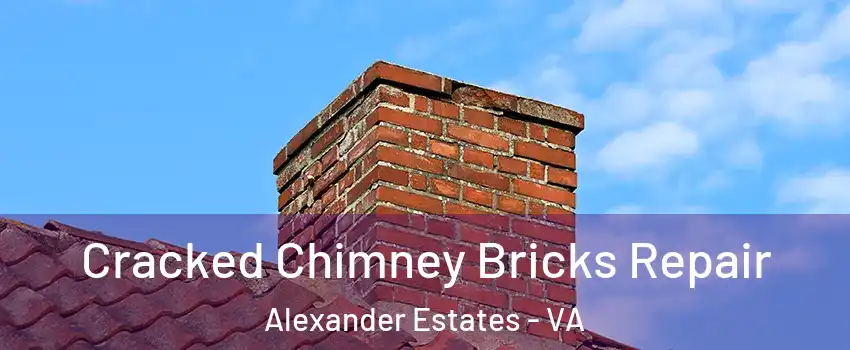 Cracked Chimney Bricks Repair Alexander Estates - VA