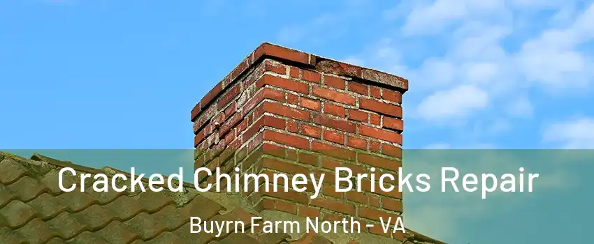 Cracked Chimney Bricks Repair Buyrn Farm North - VA
