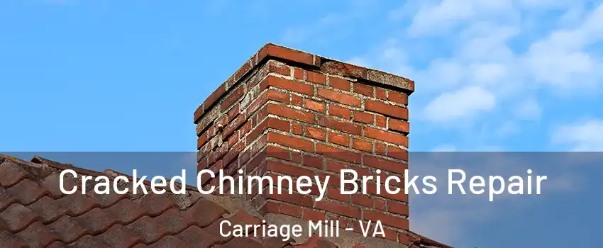 Cracked Chimney Bricks Repair Carriage Mill - VA