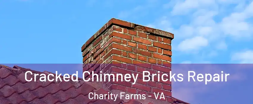 Cracked Chimney Bricks Repair Charity Farms - VA