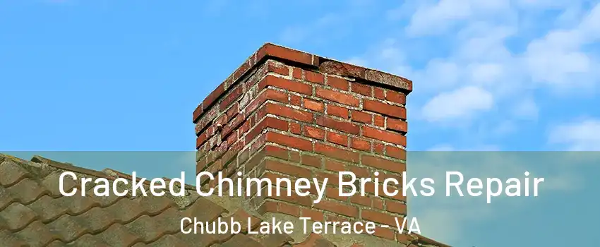 Cracked Chimney Bricks Repair Chubb Lake Terrace - VA