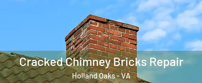 Cracked Chimney Bricks Repair Holland Oaks - VA