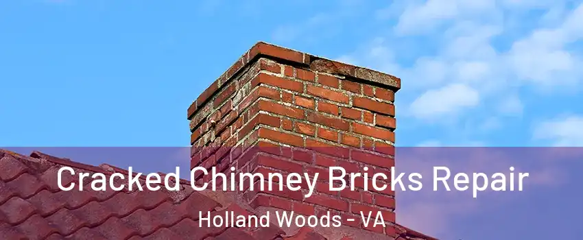 Cracked Chimney Bricks Repair Holland Woods - VA