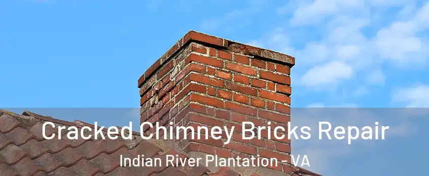 Cracked Chimney Bricks Repair Indian River Plantation - VA