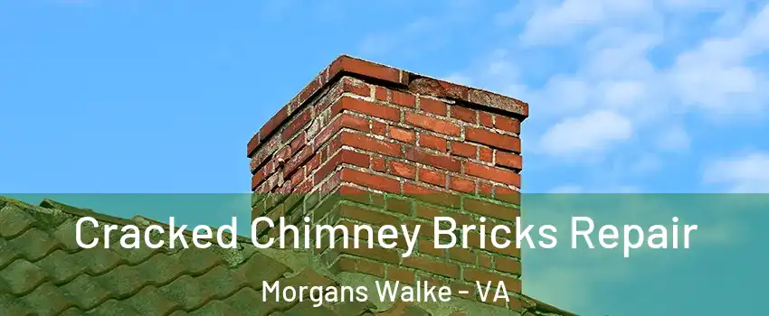 Cracked Chimney Bricks Repair Morgans Walke - VA