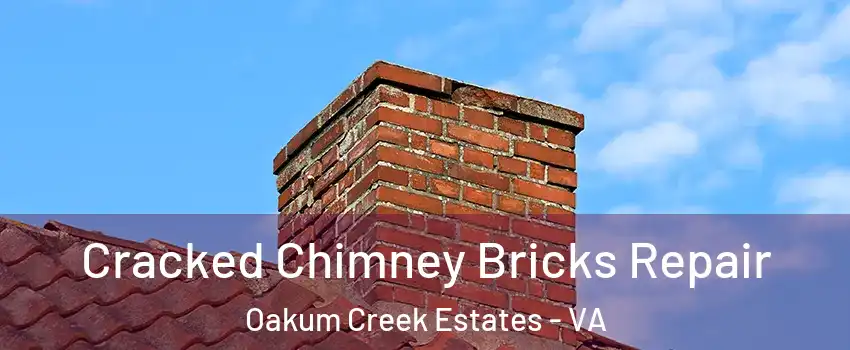 Cracked Chimney Bricks Repair Oakum Creek Estates - VA