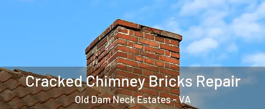 Cracked Chimney Bricks Repair Old Dam Neck Estates - VA