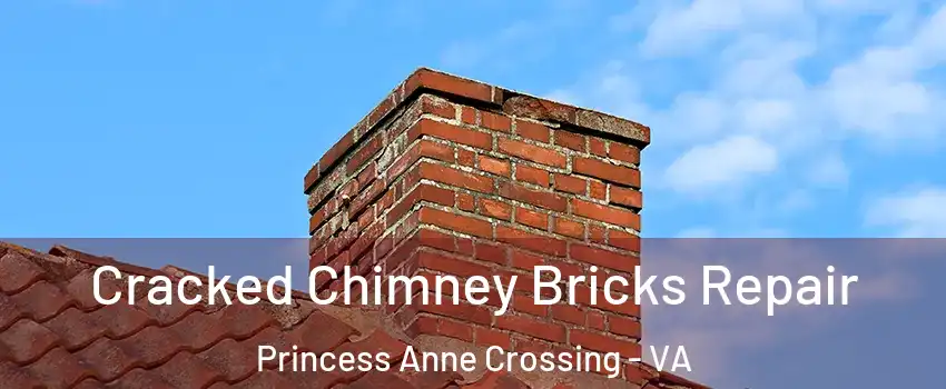 Cracked Chimney Bricks Repair Princess Anne Crossing - VA