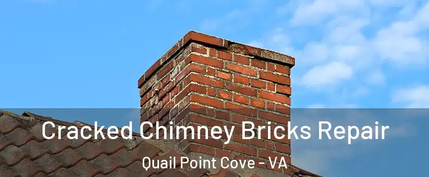 Cracked Chimney Bricks Repair Quail Point Cove - VA