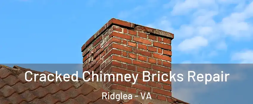 Cracked Chimney Bricks Repair Ridglea - VA