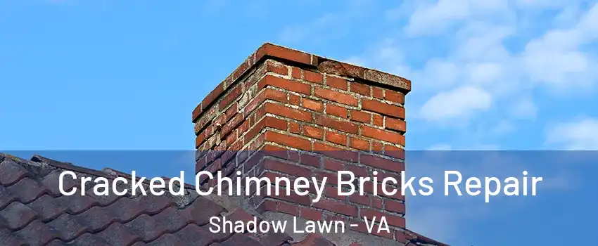 Cracked Chimney Bricks Repair Shadow Lawn - VA
