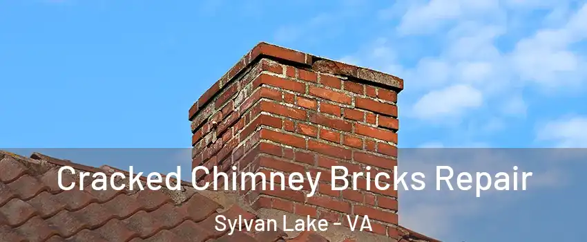 Cracked Chimney Bricks Repair Sylvan Lake - VA