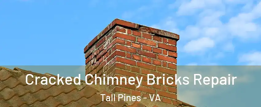 Cracked Chimney Bricks Repair Tall Pines - VA