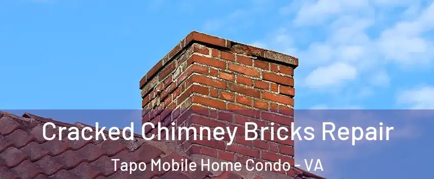 Cracked Chimney Bricks Repair Tapo Mobile Home Condo - VA