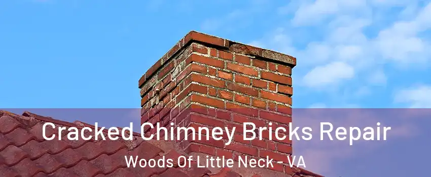 Cracked Chimney Bricks Repair Woods Of Little Neck - VA