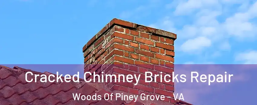 Cracked Chimney Bricks Repair Woods Of Piney Grove - VA