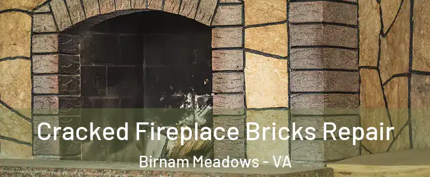 Cracked Fireplace Bricks Repair Birnam Meadows - VA