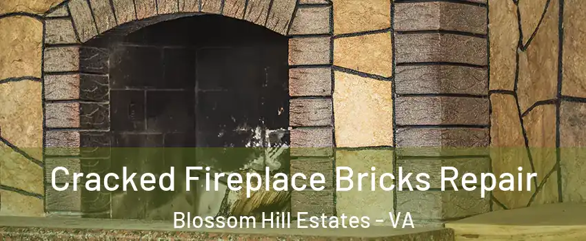Cracked Fireplace Bricks Repair Blossom Hill Estates - VA