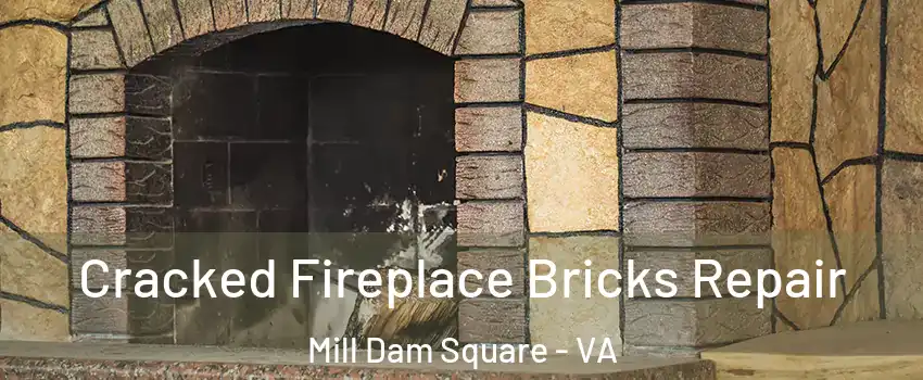 Cracked Fireplace Bricks Repair Mill Dam Square - VA