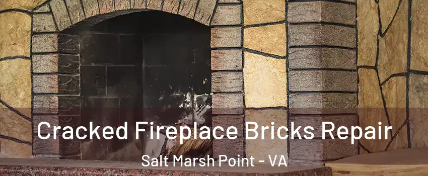 Cracked Fireplace Bricks Repair Salt Marsh Point - VA
