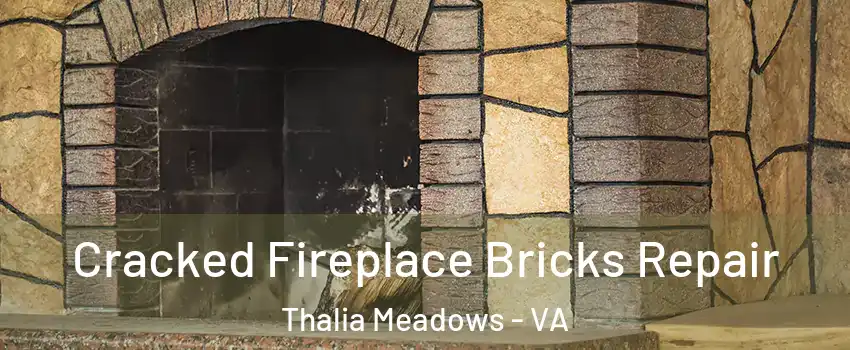 Cracked Fireplace Bricks Repair Thalia Meadows - VA