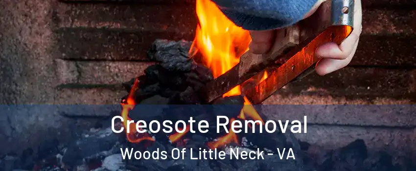 Creosote Removal Woods Of Little Neck - VA
