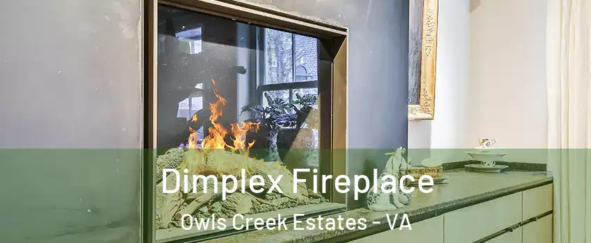 Dimplex Fireplace Owls Creek Estates - VA