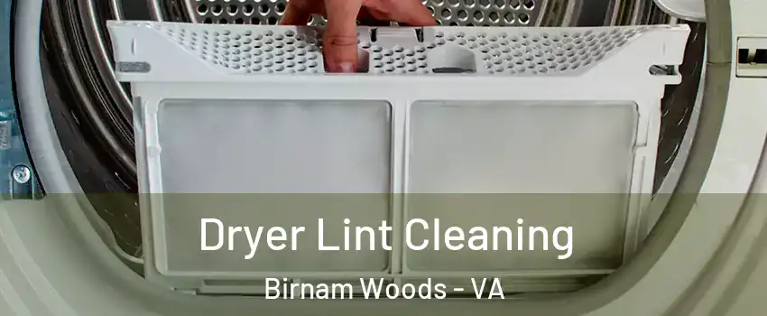 Dryer Lint Cleaning Birnam Woods - VA