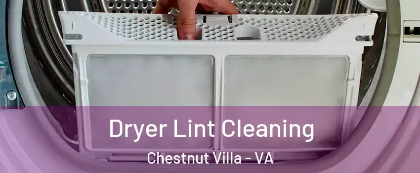 Dryer Lint Cleaning Chestnut Villa - VA