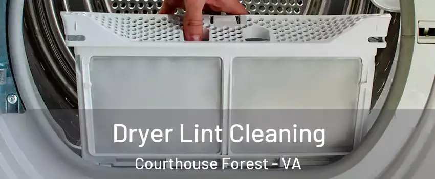 Dryer Lint Cleaning Courthouse Forest - VA