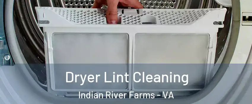 Dryer Lint Cleaning Indian River Farms - VA