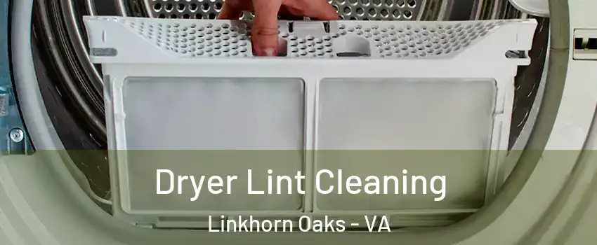Dryer Lint Cleaning Linkhorn Oaks - VA