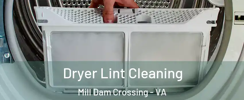Dryer Lint Cleaning Mill Dam Crossing - VA